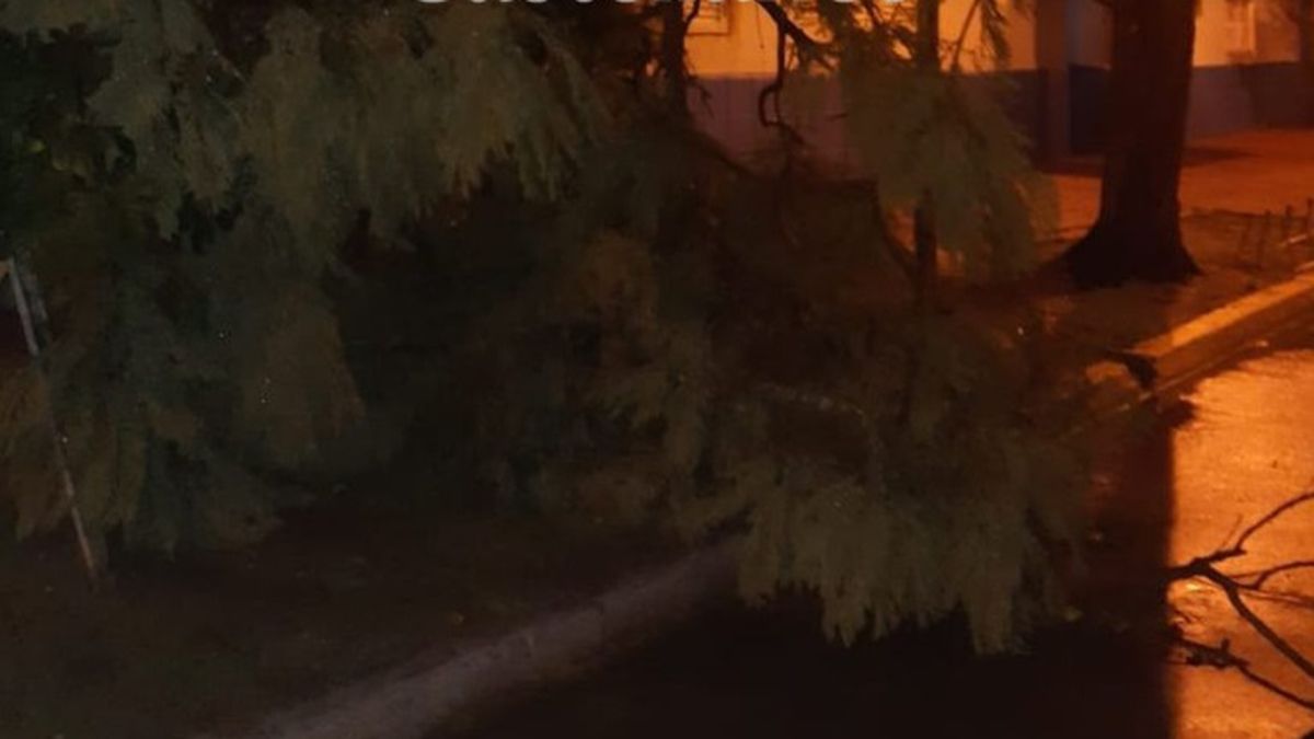 Hubo ráfagas de hasta 87 kilómetros por hora.