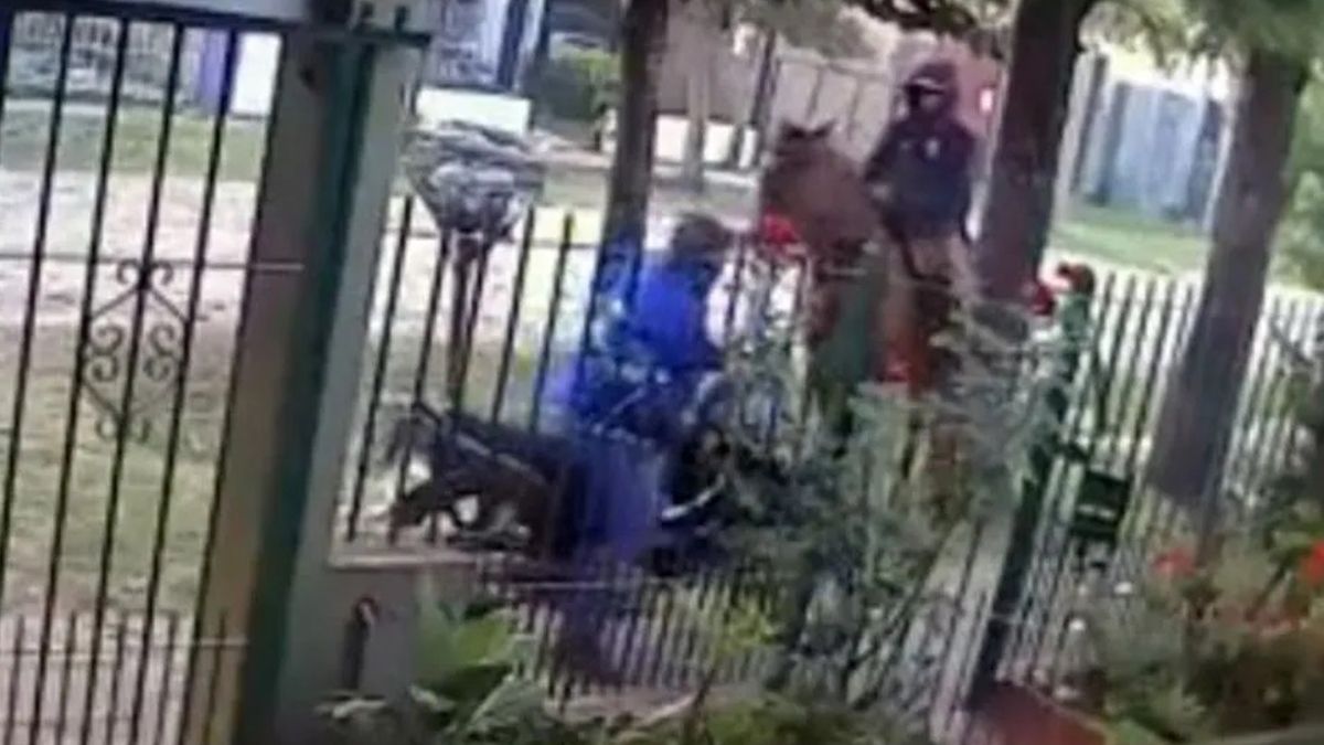 Video: así un ladrón a caballo intentó asaltar a un hombre que llegaba a su casa