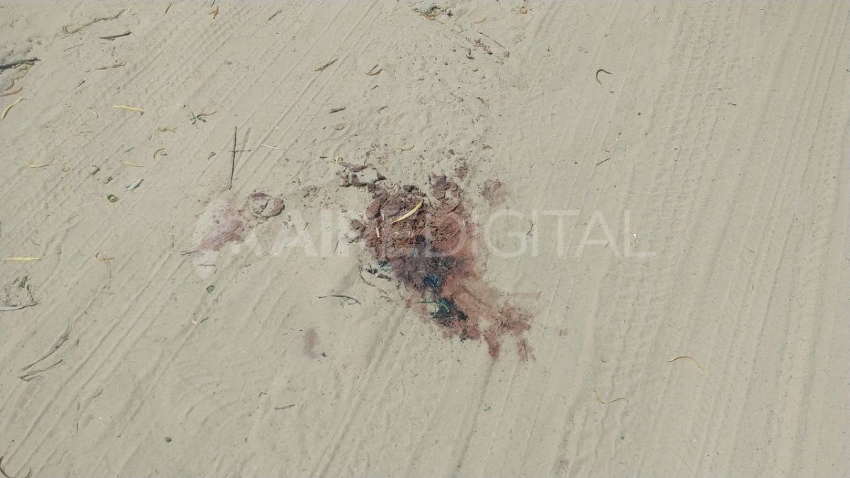 Tras el asesinato, un joven de 19 años se presentó en la Comisaría 6ta. de La Guardia ,acompañado por un familiar