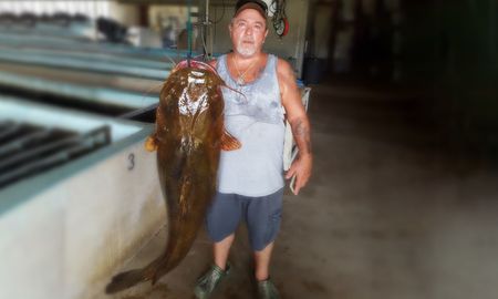 Foto del pescado Foto del pescado