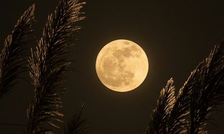 Cómo hacer la dieta de la luna paso a paso Cómo hacer la dieta de la luna paso a paso