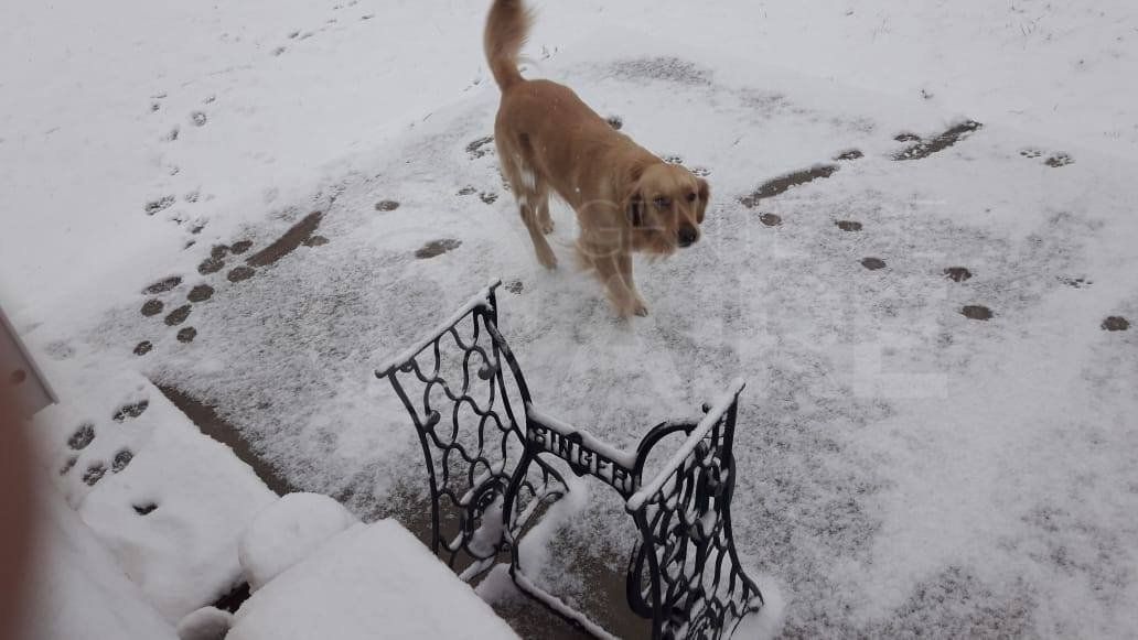 Intensa nevada, lluvias y una jornada helada en Córdoba