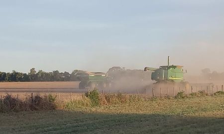 Lote con soja tardía en pleno proceso de cosecha, buen estado. Noroeste del departamento San Cristóbal. Lote con soja tardía en pleno proceso de cosecha, buen estado. Noroeste del departamento San Cristóbal.