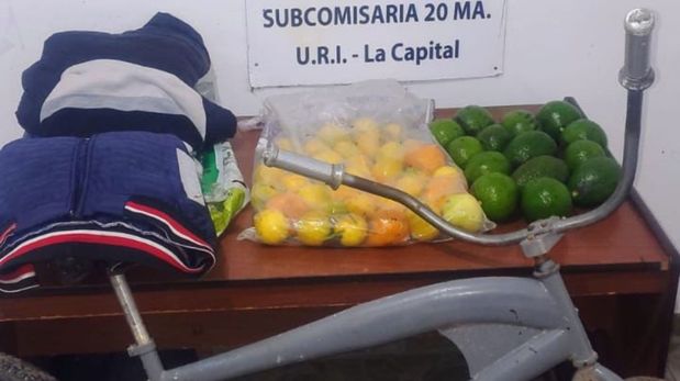 Ocurrió en Arroyo Leyes. El hombre sufrió lesiones al caer de un árbol mientras intentaba llevarse frutas de una propiedad vecina.
