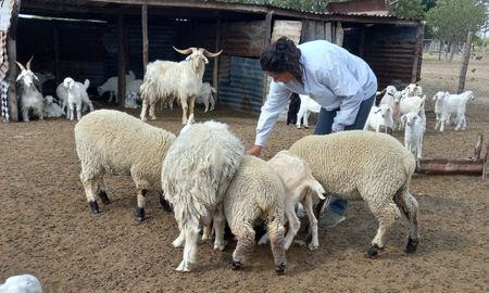 pequenos productores reclaman asistencia tras la sequia y denuncian desinteres oficial pequenos productores reclaman asistencia tras la sequia y denuncian desinteres oficial