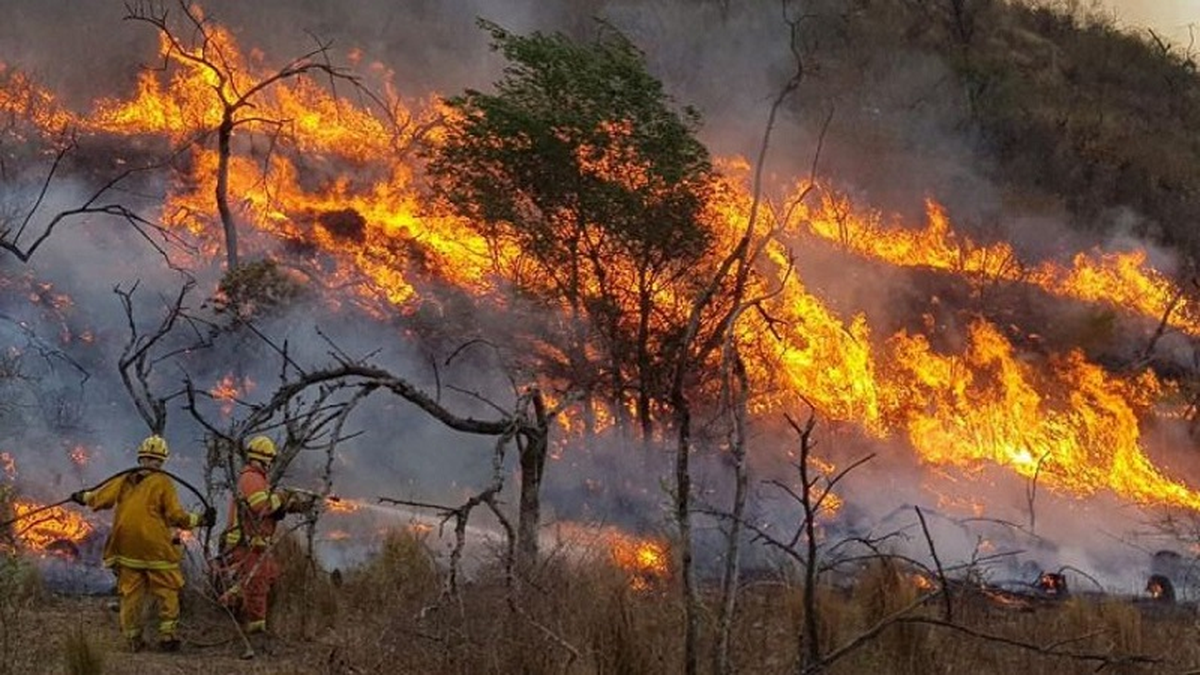 Los esfuerzos de los bomberos y los brigadistas para poder apagar el fuego.