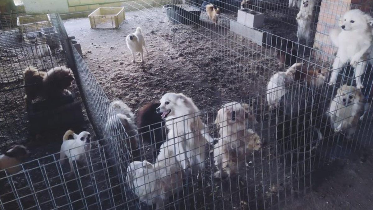 El auto que usaba el ex