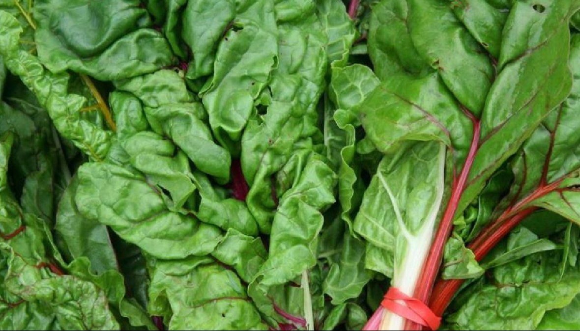 Las acelgas aportan fibras