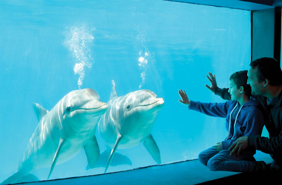 Mundo Marino es el destino ideal para que los más chicos de la familia disfruten.