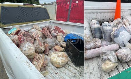 Este martes se produjo un nuevo decomiso de carne y huesos en dos carnicerías del norte de la ciudad. Este martes se produjo un nuevo decomiso de carne y huesos en dos carnicerías del norte de la ciudad.