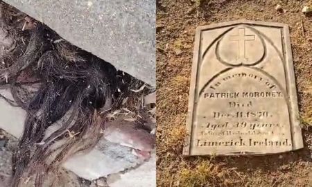 El curioso dato es que la tumba tiene más de 100 años.&nbsp;