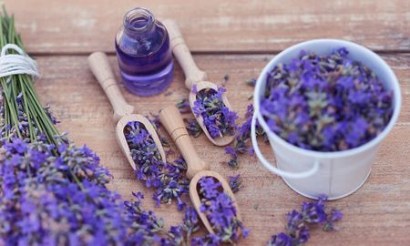 Cómo plantar lavanda en una taza paso a paso. Cómo plantar lavanda en una taza paso a paso.