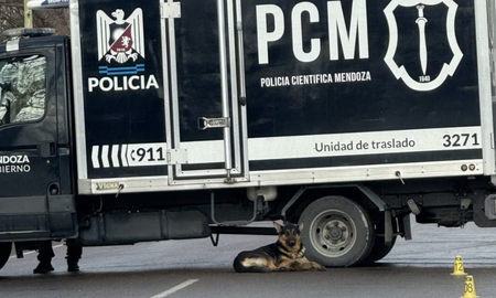 Ocurrió este lunes por la mañana en la localidad mendocina de Rodeo del Medio. Ocurrió este lunes por la mañana en la localidad mendocina de Rodeo del Medio.