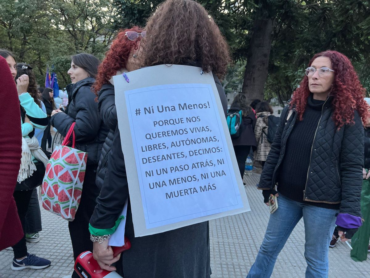 La frecuencia de femicidios pasó de una mujer cada 28 horas en 2023 a una cada 34 horas en 2024. La frecuencia de femicidios pasó de una mujer cada 28 horas en 2023 a una cada 34 horas en 2024.