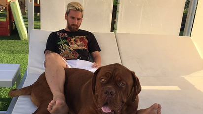 ¿Qué es de la vida de Hulk, el perro de Lionel Messi?