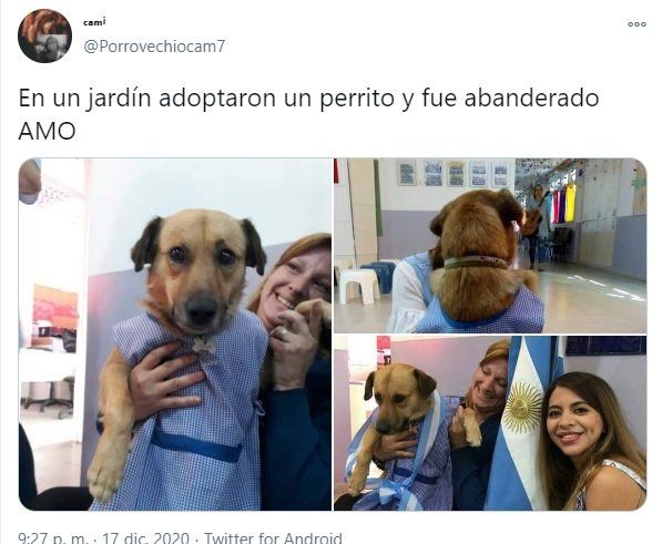 La publicación del canino homenajeado que se volvió viral. (Foto: Twitter @porrovechiocam7)