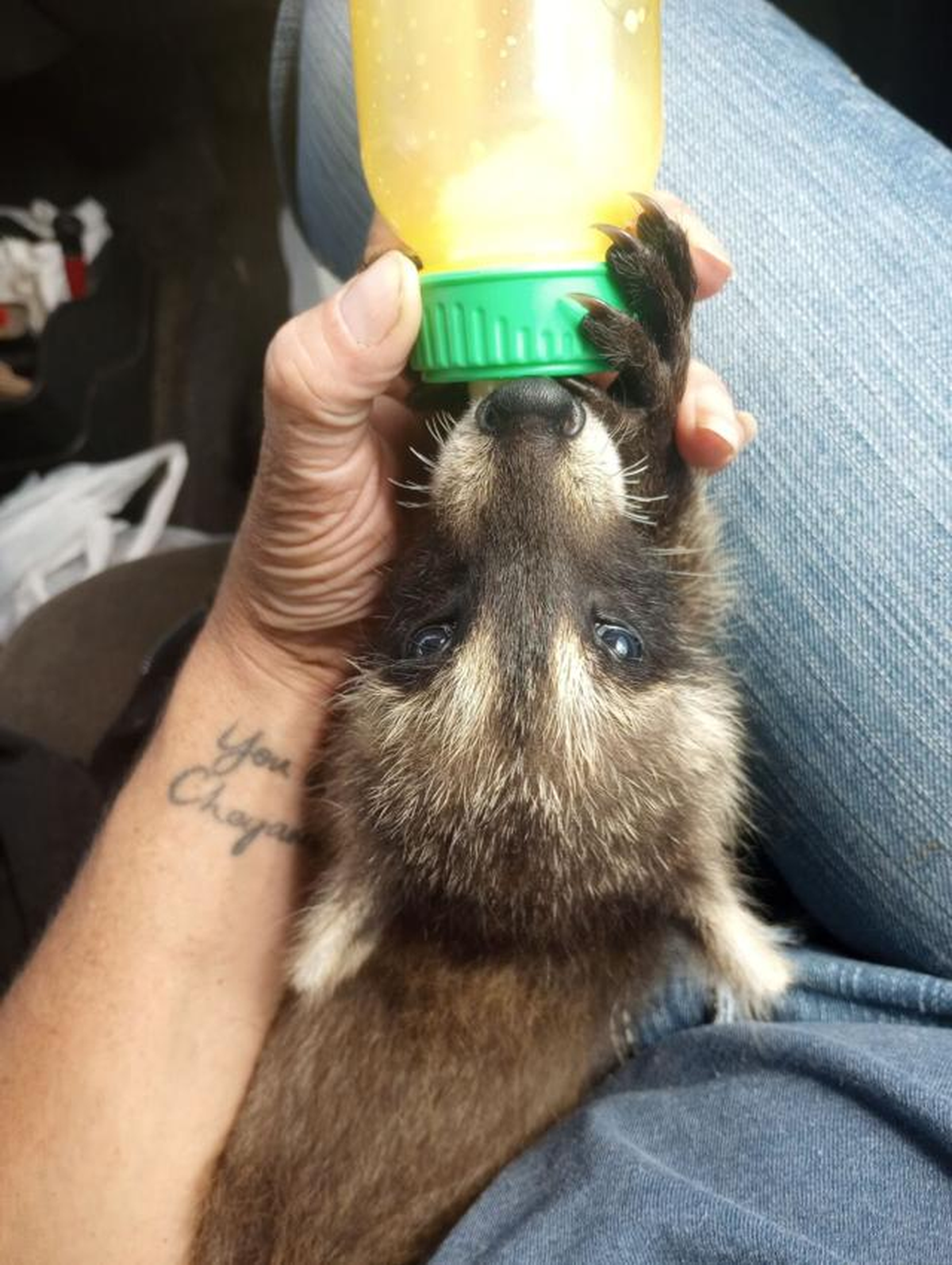 Erin Christensen junto a Rocky. 