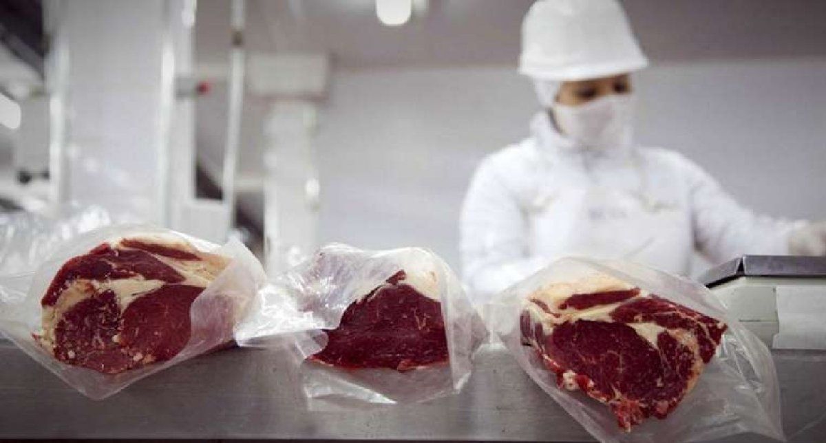 Diez trabajadores de un frigorífico de Entre Ríos tuvieron que ser internados por un brote de fiebre Q y respondieron de manera favorable. &nbsp;