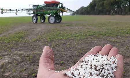 relacion insumo-producto en entre rios: la rentabilidad de los cereales en jaque relacion insumo-producto en entre rios: la rentabilidad de los cereales en jaque