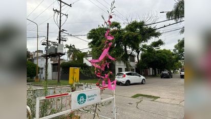 Empezaron los arreglos del socavón en barrio Guadalupe donde creció un árbol que los vecinos adornaron para Navidad