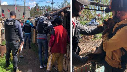 Decía ser proteccionista de animales: tenía cachorros muertos y en estado de putrefacción