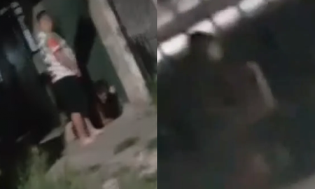 &nbsp;Un niño endemoniado y una gallina muerta causaron terror en Lanús