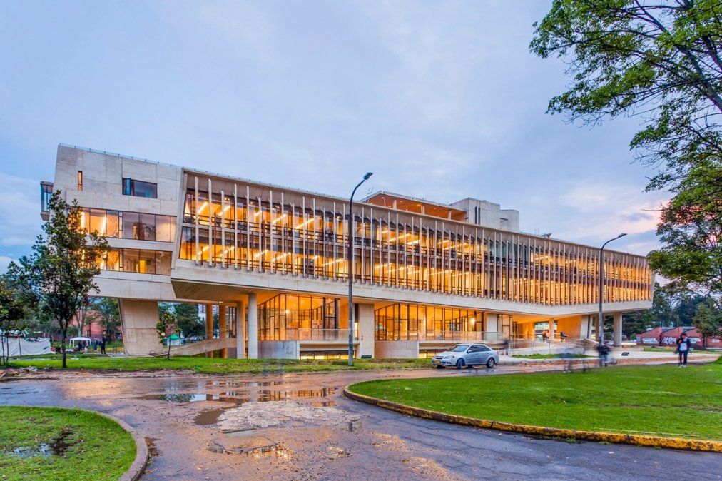 Científicos identifican a dos mellizos de padres diferentes en Colombia: Es un fenómeno extremadamente raro