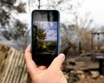 una modelo recauda 700.000 dolares para combatir los incendios en australia enviando fotos suyas desnudas a los donantes