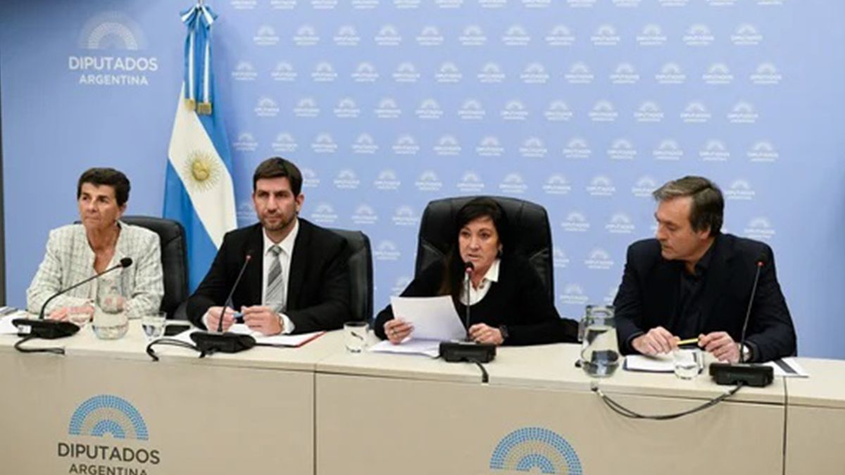 La Cámara de Diputados retomará este martes el debate en torno a la creación de un nuevo régimen penal juvenil que, entre otros puntos, plantea la baja de la edad de imputabilidad. La Cámara de Diputados retomará este martes el debate en torno a la creación de un nuevo régimen penal juvenil que, entre otros puntos, plantea la baja de la edad de imputabilidad.