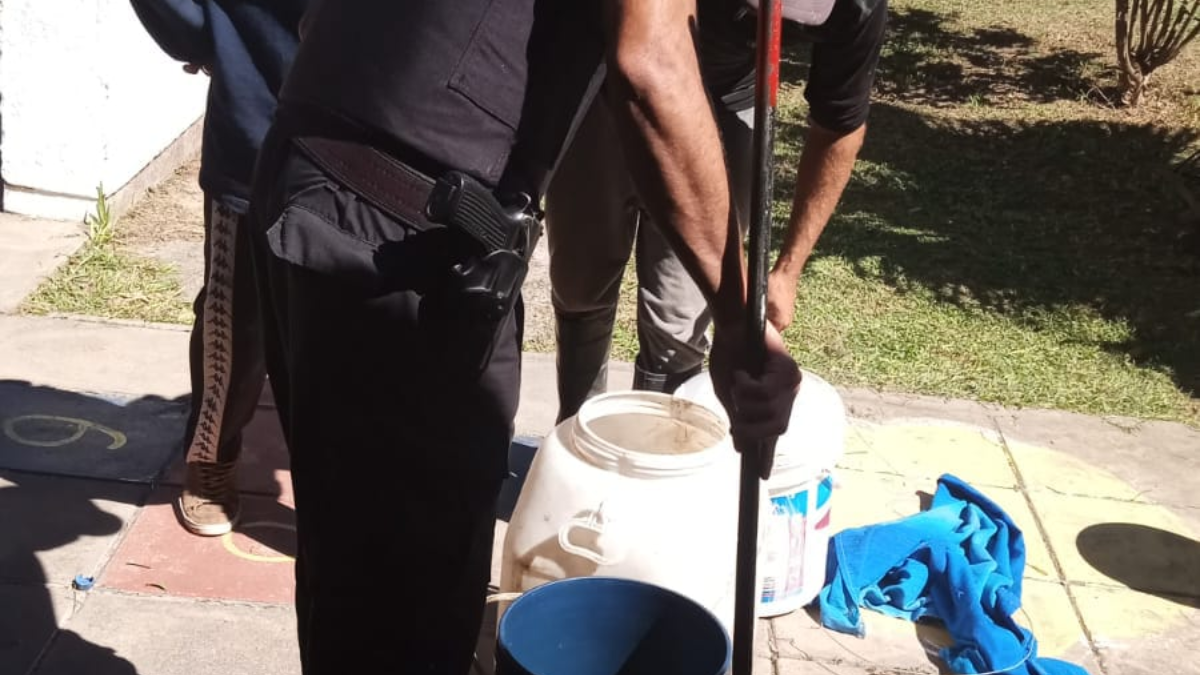 Las serpientes se encontraban en buen estado y fueron capturadas. Las serpientes se encontraban en buen estado y fueron capturadas.