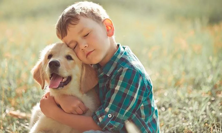 Por qué duele tanto la muerte de tu mascota Por qué duele tanto la muerte de tu mascota