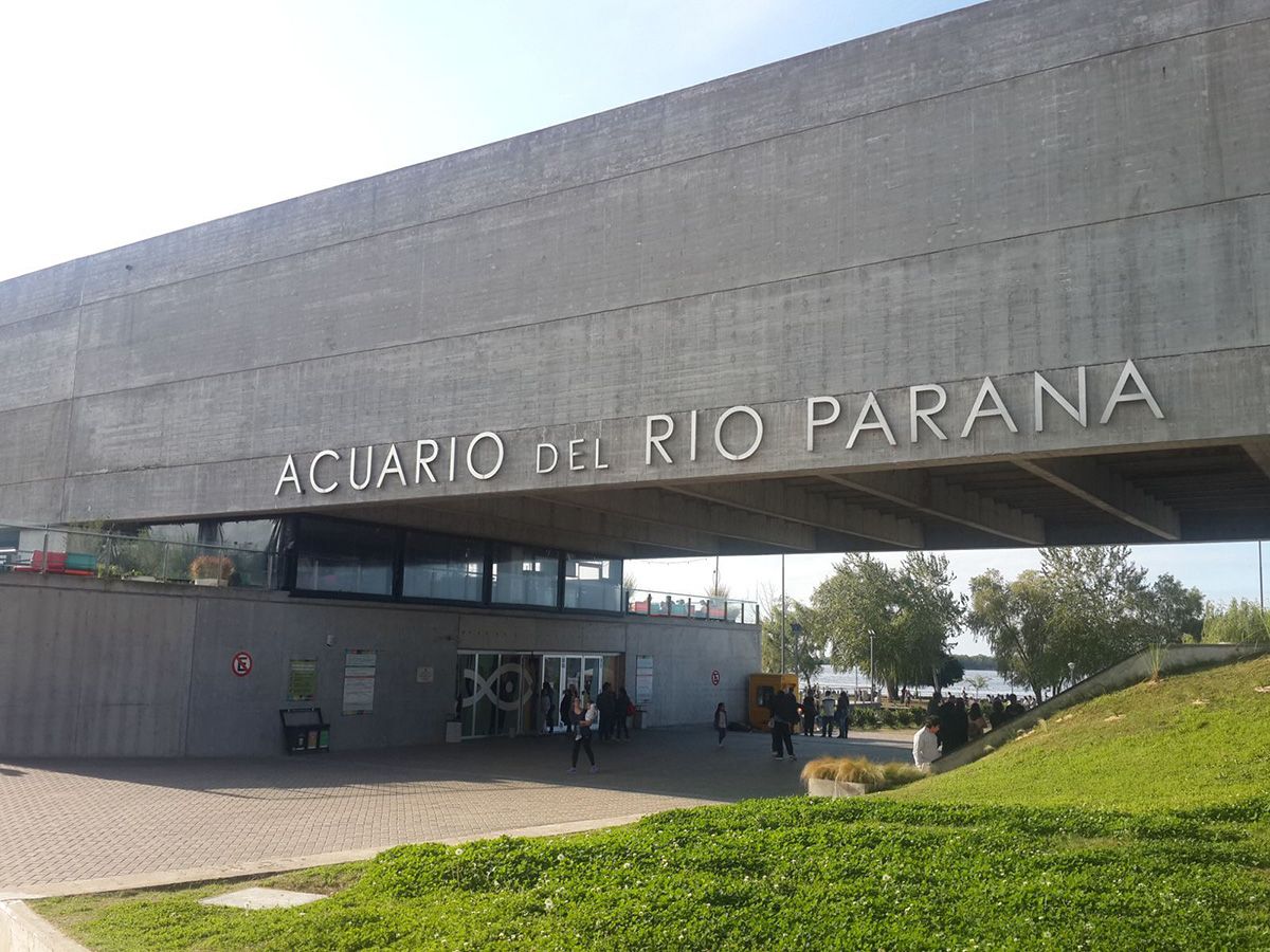 Verano en el Acuario del R&iacute;o Paran&aacute;: convocatoria para colonias y polideportivos.
