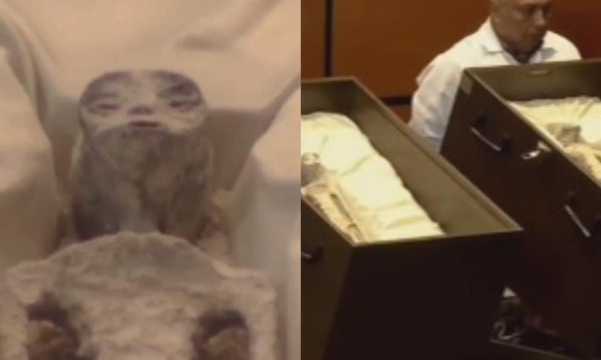 Video: periodista mexicano presentó en el Congreso de México supuestos cuerpos de extraterrestres