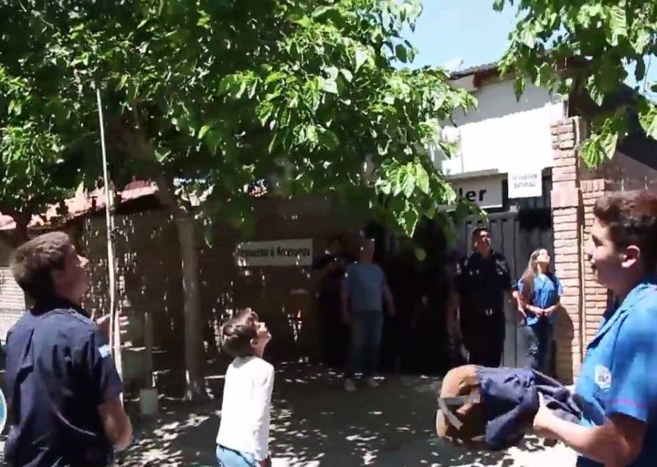 Operativo con frutas para atrapar a un mono suelto