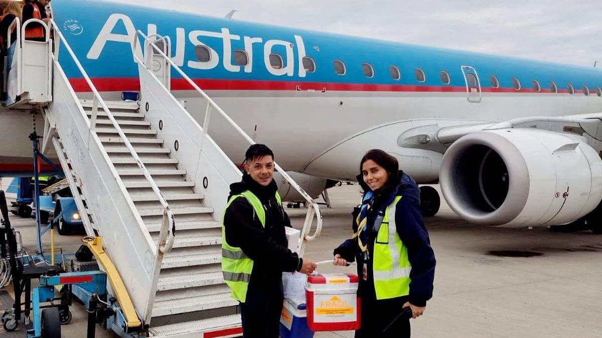 Trabajadores del Cudaio tuvieron que recorrer miles de kilómetros para garantizar que los órganos y tejidos lleguen a las personas que esperaban un trasplante.