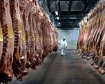 Los que están en problemas son los frigoríficos y sobre todo los exportadores. Los que están en problemas son los frigoríficos y sobre todo los exportadores.