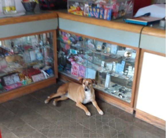 BIANCA HOY, ADENTRO DEL NEGOCIO. GENTILEZA JUAN IRRUTIA