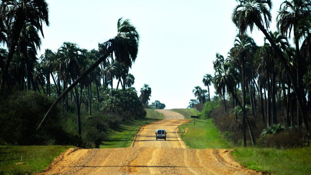 Los mejores lugares para disfrutar de la naturaleza y la gastronomía del Litoral argentino