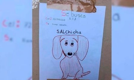 un nene de 11 anos perdio a su mascota, no tiene fotos y la busca con un dibujo un nene de 11 anos perdio a su mascota, no tiene fotos y la busca con un dibujo