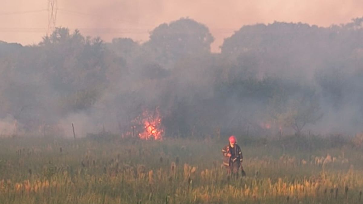 El fuego afectó una amplia superficie y no se registraron personas heridas.