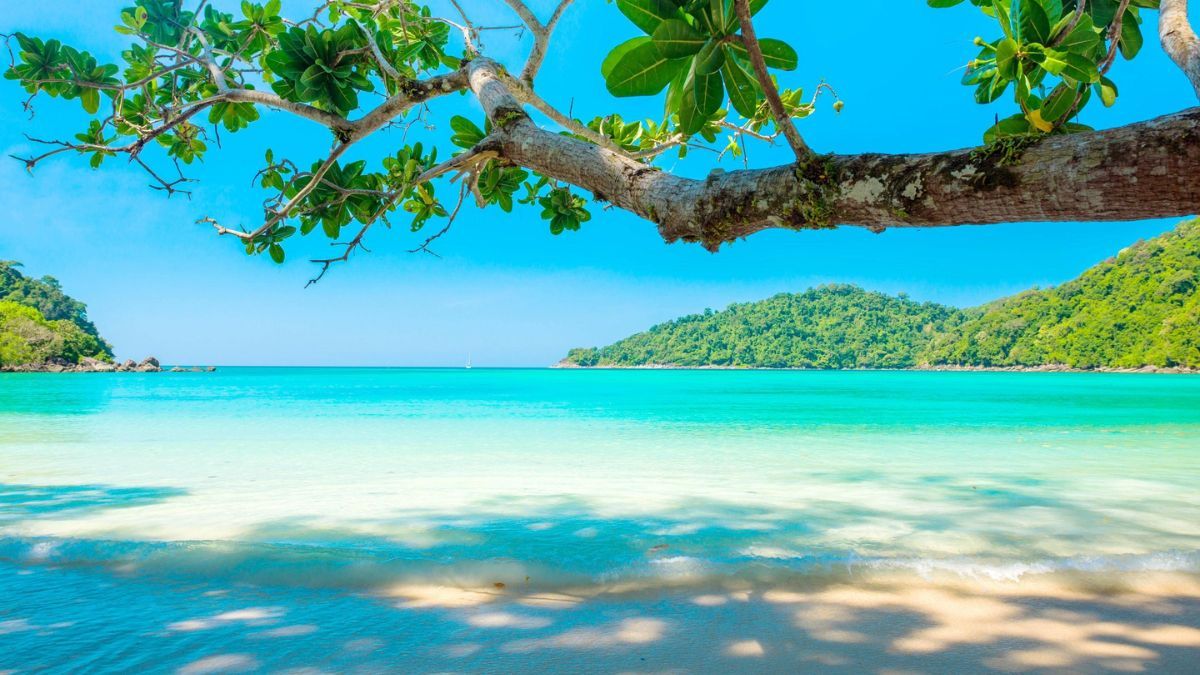 Con playas volcánicas y selvas densas, la Isla de la Reunión le dio a la serie la autenticidad tropical que no se puede replicar en un estudio de cine. Con playas volcánicas y selvas densas, la Isla de la Reunión le dio a la serie la autenticidad tropical que no se puede replicar en un estudio de cine.