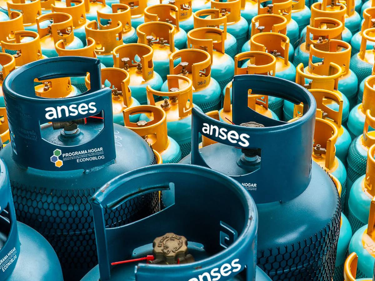 ANSES: paso a paso, cómo inscribirse al Programa Hogar