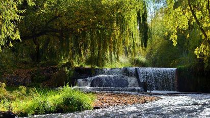 Escapada a un paraíso escondido en Mendoza, con ríos cristalinos, bosques y mucha paz
