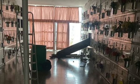 Una de las hipótesis es que para llegar hasta el cementerio los delincuentes probablemente utilizaron un vehículo y accedieron por un camino de ripio. Una de las hipótesis es que para llegar hasta el cementerio los delincuentes probablemente utilizaron un vehículo y accedieron por un camino de ripio.