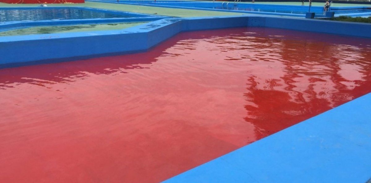 San Lorenzo pintó la pileta con sus colores, pero terminó generando “miedo”