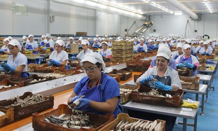 Soledad Barruti, la autora de “Malcomidos”: “Creo que la industria alimentaria es un sistema mafioso”