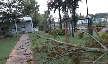 La tormenta dejó árboles y ramas caídas. La tormenta dejó árboles y ramas caídas.