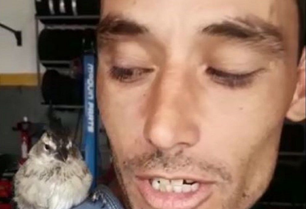 Video: el pajarito cordobés que reparte soda y es furor en las redes