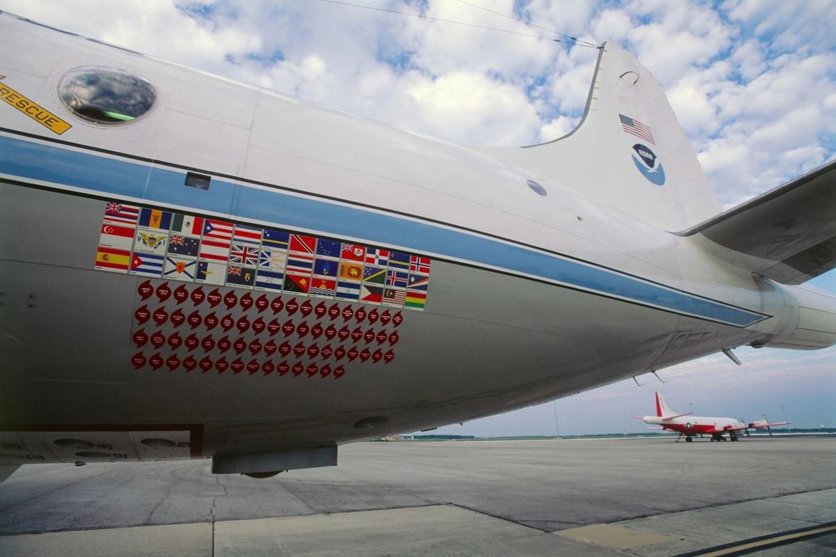 Las calcomanías en el fuselaje de los dos Lockheed WP-3D Orion de la NOAA (foto) indican los nombres de los principales huracanes atravesados. Asimismo, las aeronaves fueron bautizadas con nombres de personajes de El Show de los Muppets: Kermit –la Rana René– y Miss Piggy. Las calcomanías en el fuselaje de los dos Lockheed WP-3D Orion de la NOAA (foto) indican los nombres de los principales huracanes atravesados. Asimismo, las aeronaves fueron bautizadas con nombres de personajes de El Show de los Muppets: Kermit –la Rana René– y Miss Piggy.