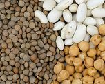 La calidad ya no alcanza para diferenciarse: ahora define si las legumbres argentinas siguen en los mercados La calidad ya no alcanza para diferenciarse: ahora define si las legumbres argentinas siguen en los mercados